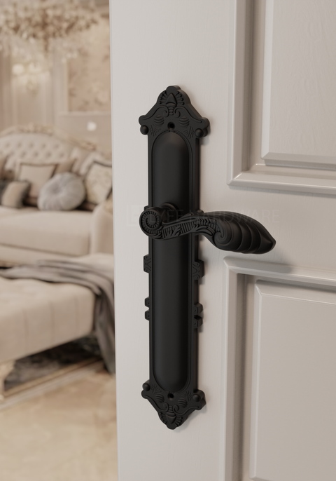 PARAGON Door Handle